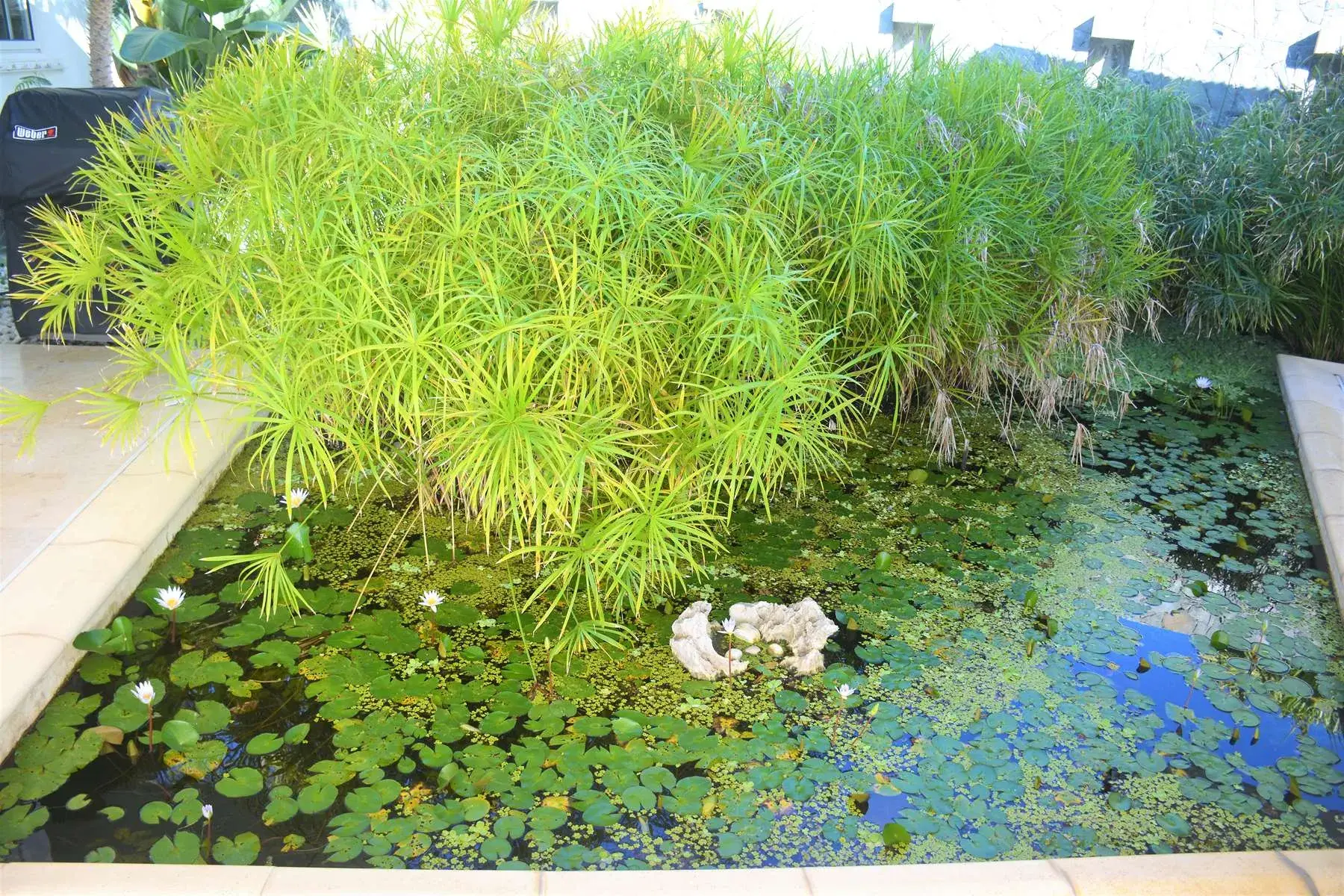 Villa Reef Point thumb 5