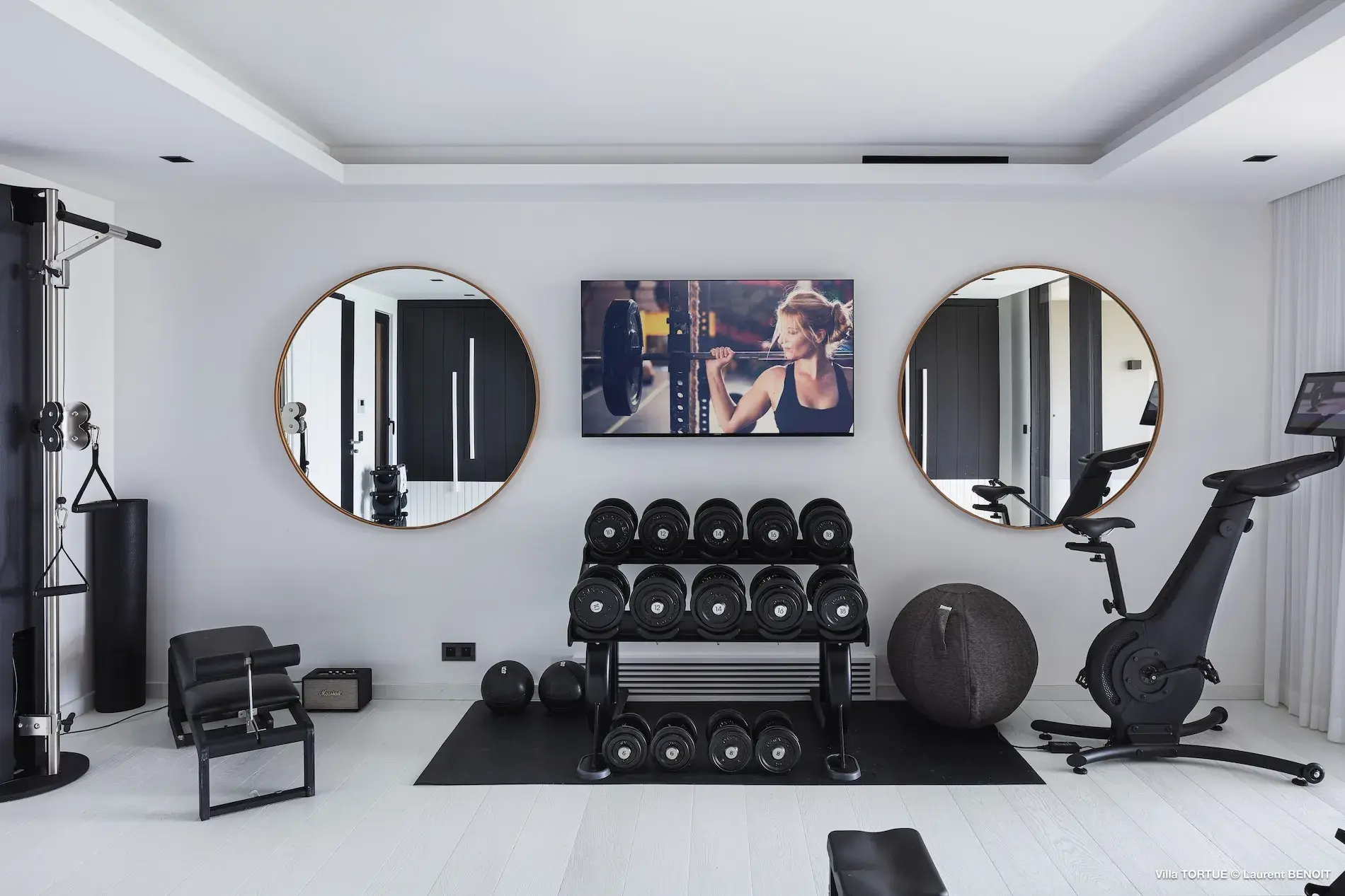 Villa Turtle thumb 3