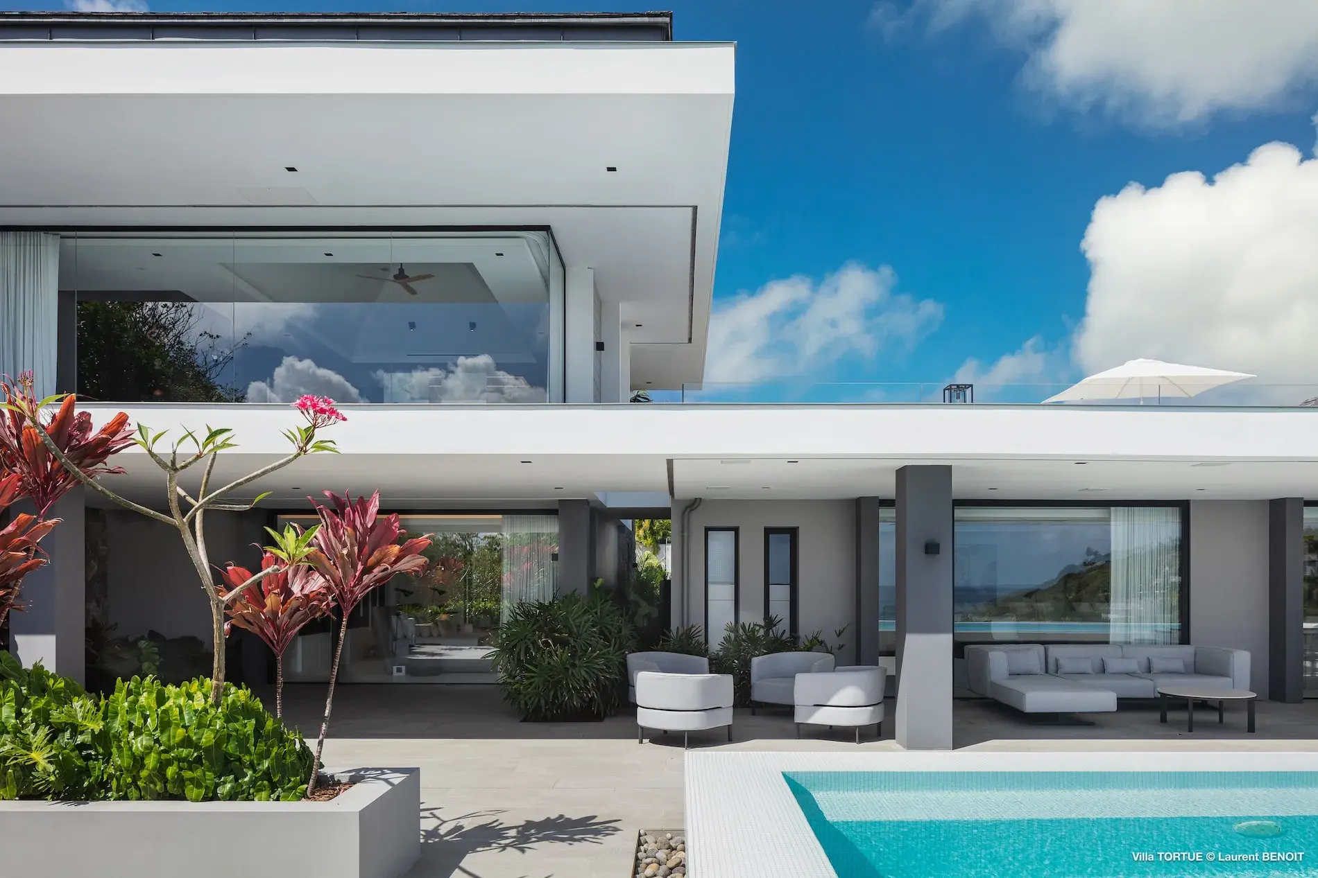 Villa Turtle thumb 13