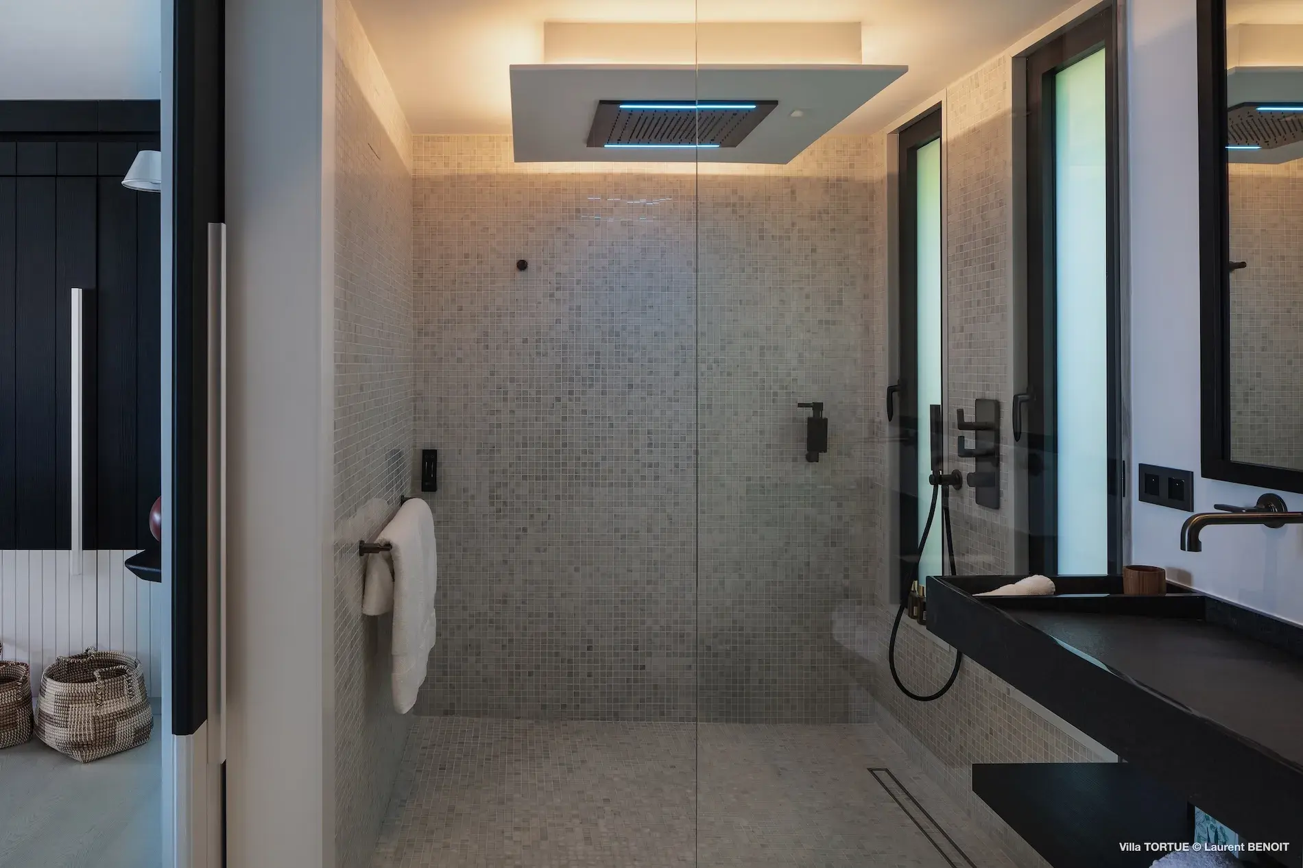 Villa Turtle thumb 27