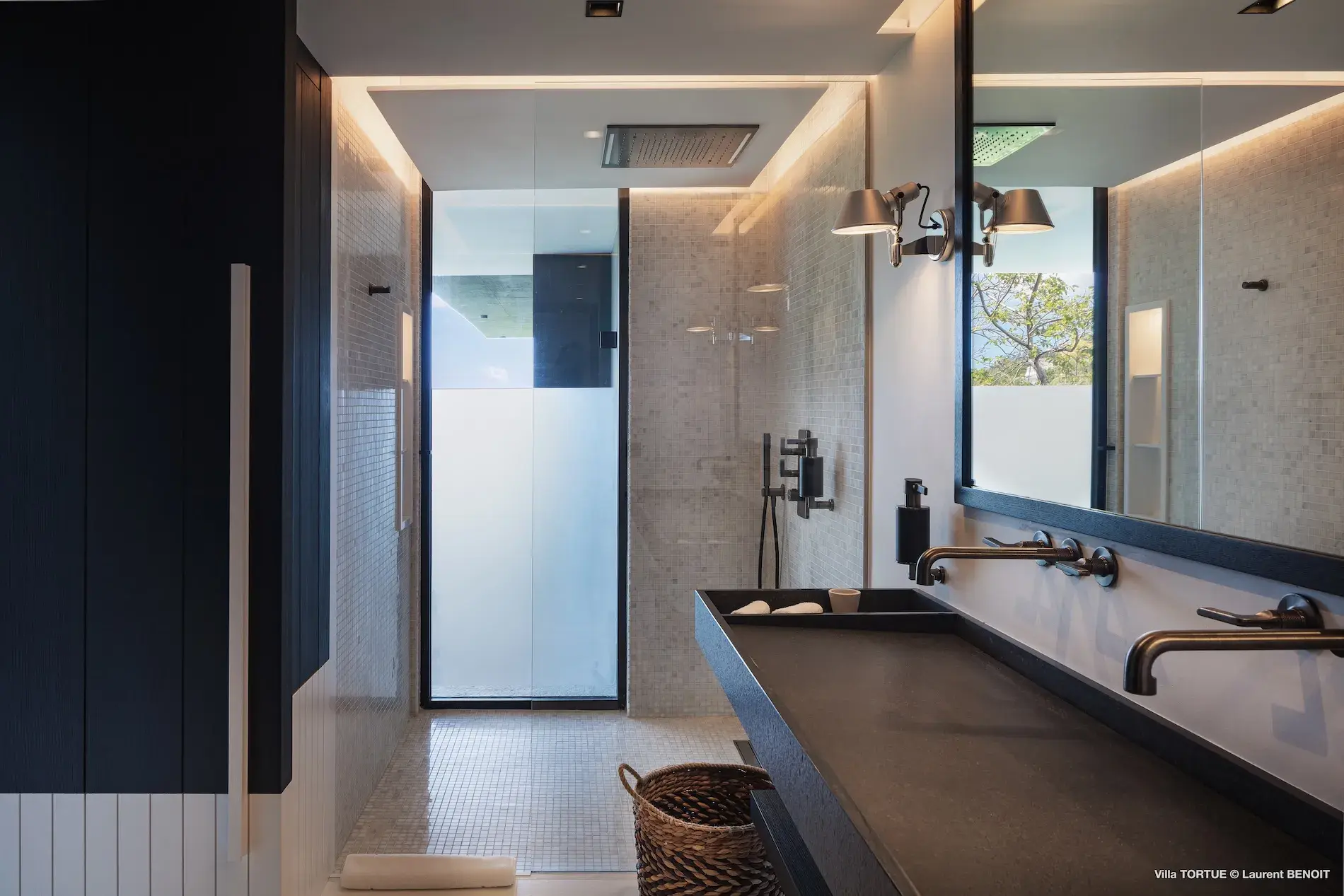 Villa Turtle thumb 5