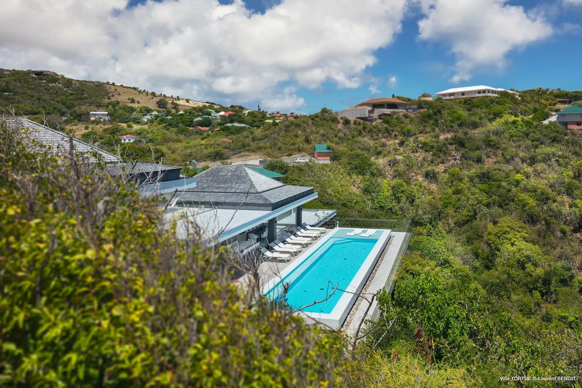 Villa Turtle thumb 6