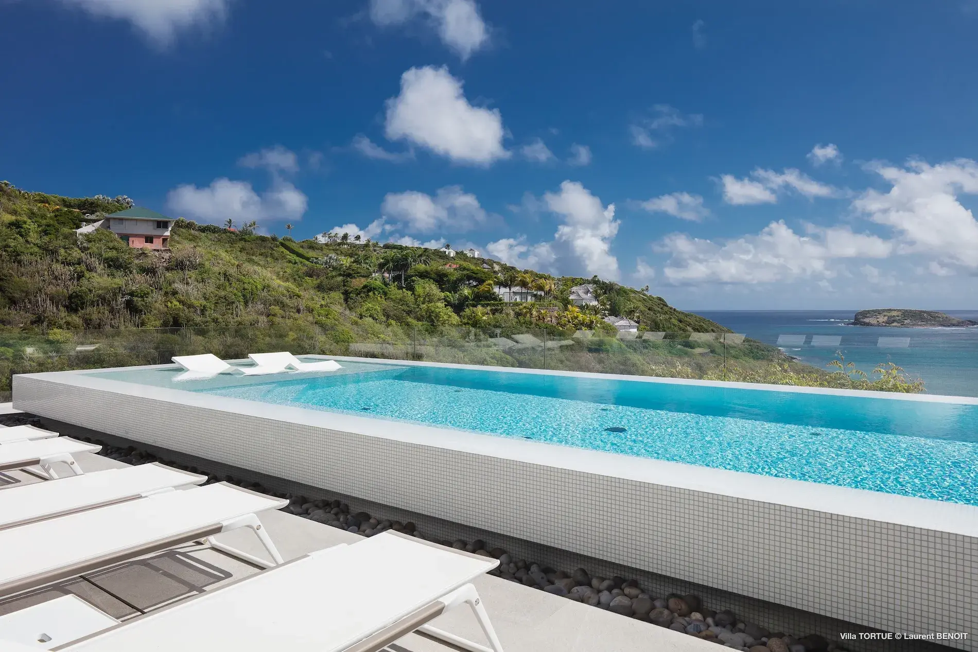 Villa Turtle thumb 10