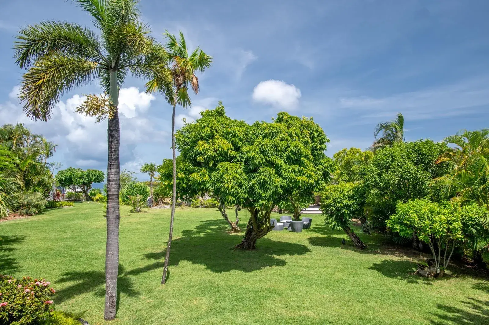 Villa Clyde thumb 19